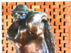 NAM_0545