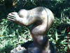NAM_0546