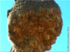 NAM_0553