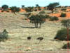 NAM_0565