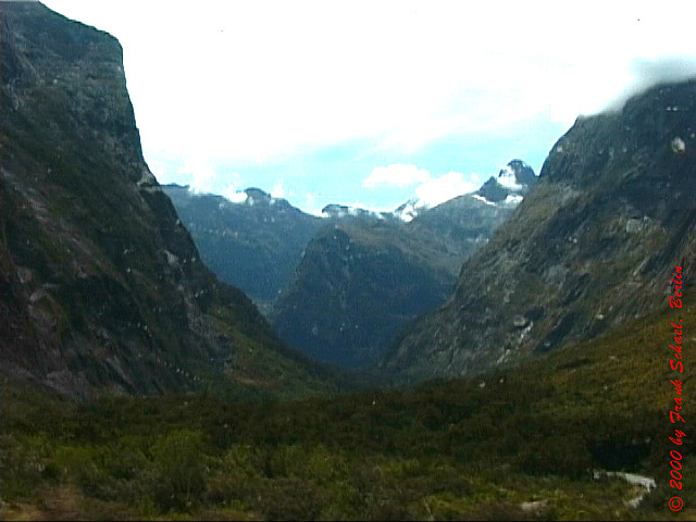 NZL-0051