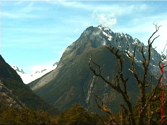 NZL-0052