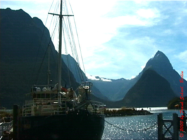 NZL-0060