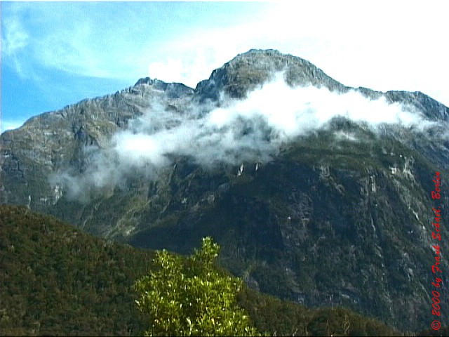 NZL-0061