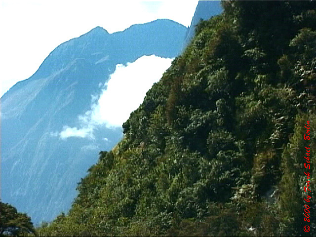 NZL-0062