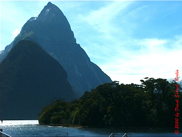 NZL-0063
