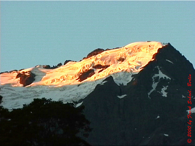 NZL-0074
