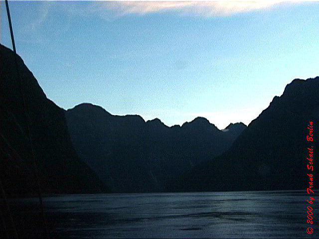 NZL-0081