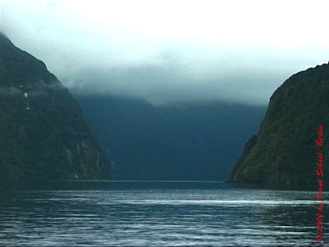 NZL-0084