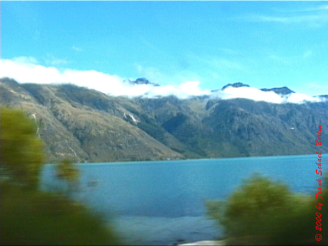 NZL-0088