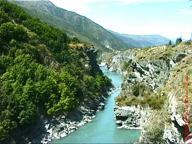 NZL-0089