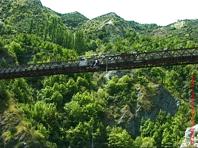 NZL-0091