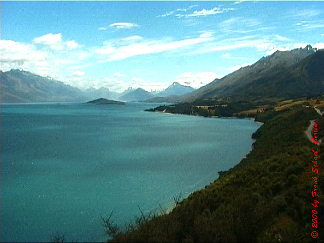 NZL-0099