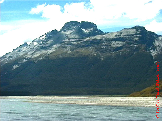NZL-0100