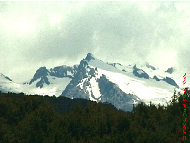 NZL-0103