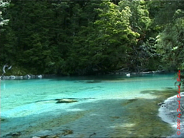 NZL-0110