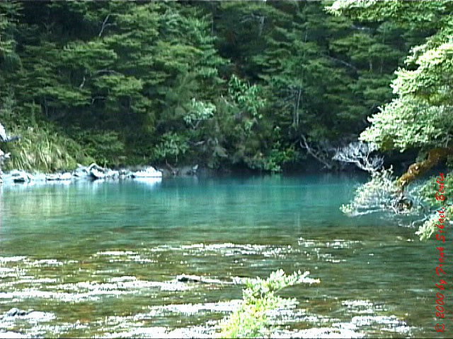 NZL-0112