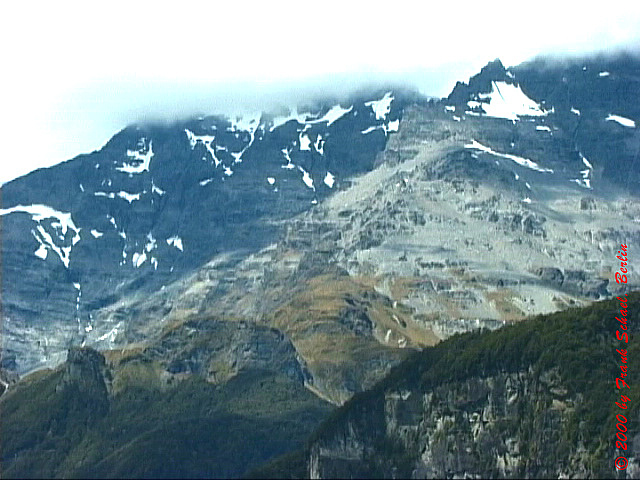 NZL-0115