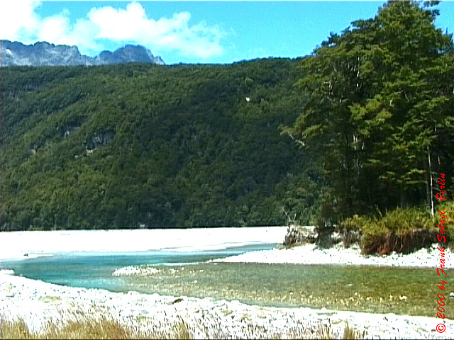 NZL-0116