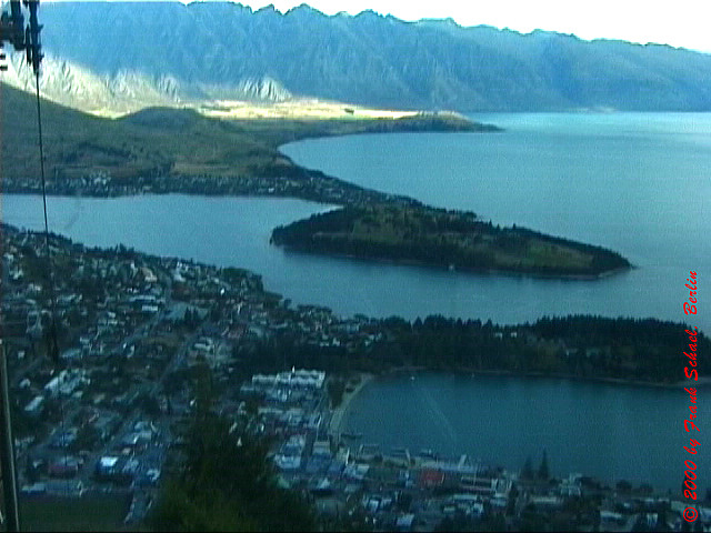NZL-0119