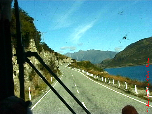 NZL-0133