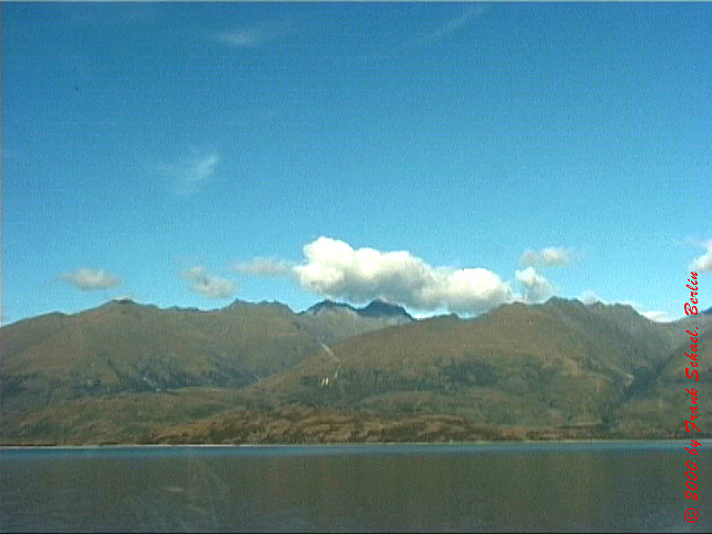 NZL-0134