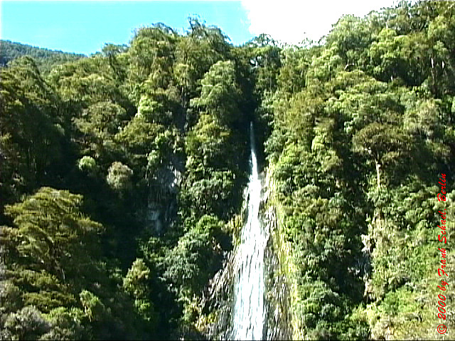 NZL-0141