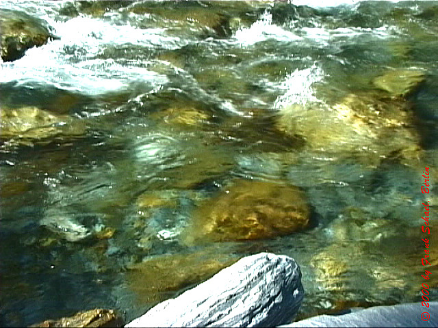 NZL-0142