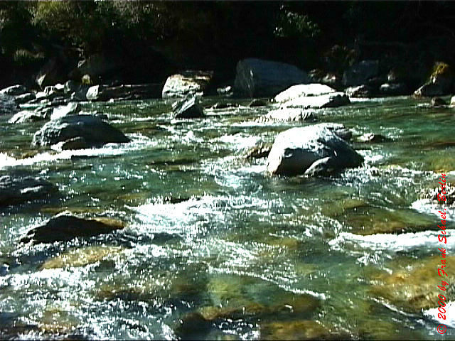 NZL-0143