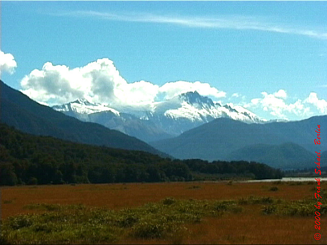 NZL-0148