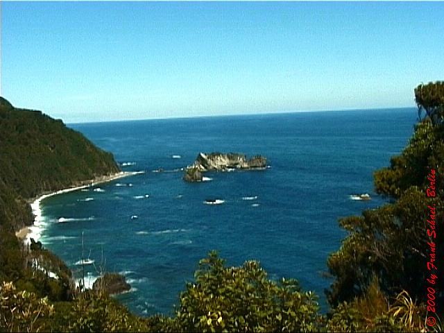 NZL-0150