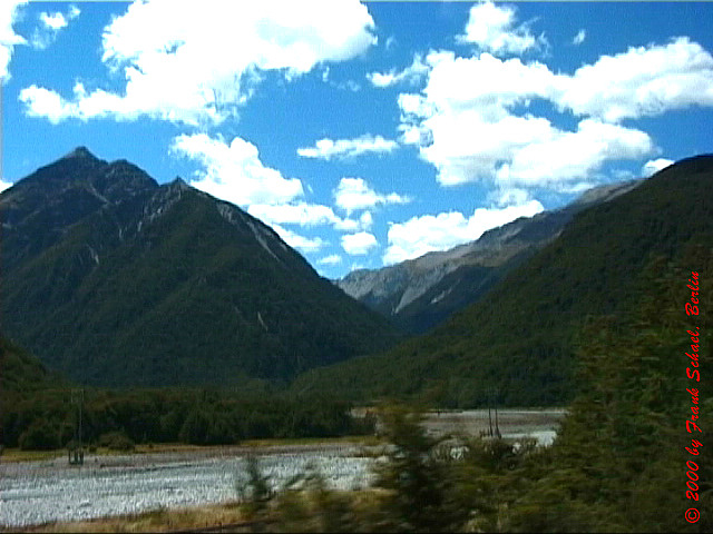 NZL-0169