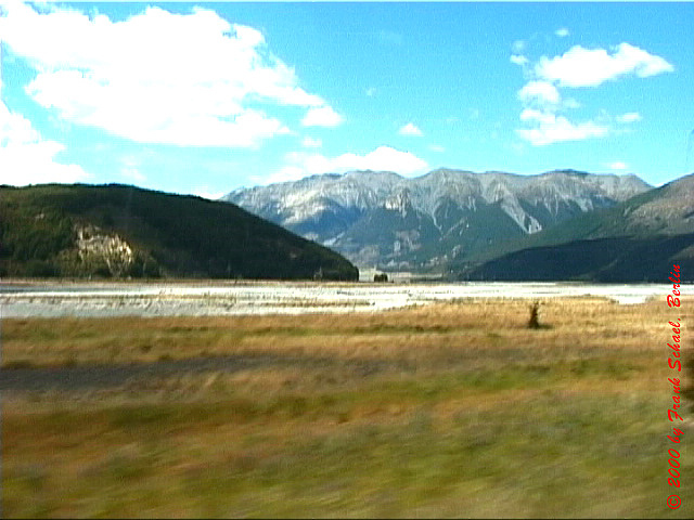 NZL-0171