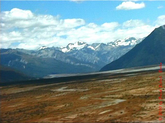 NZL-0174