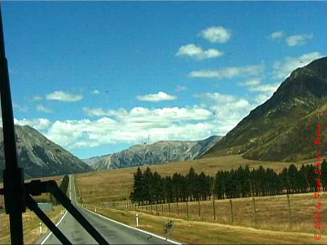 NZL-0177