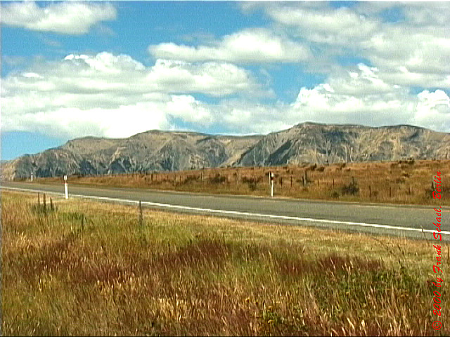 NZL-0178