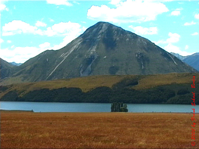 NZL-0179