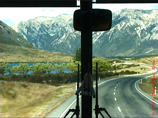 NZL-0181