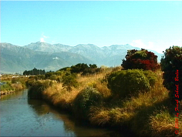 NZL-0190