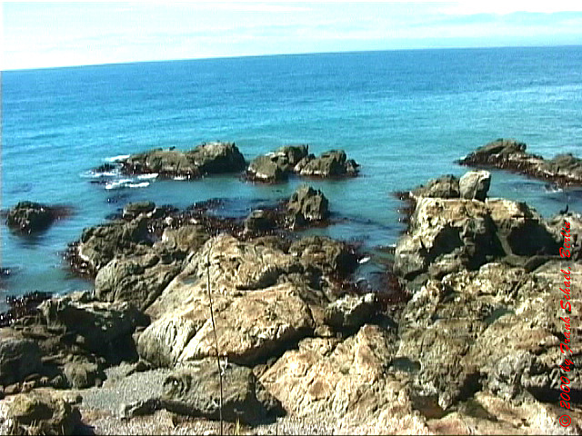 NZL-0194