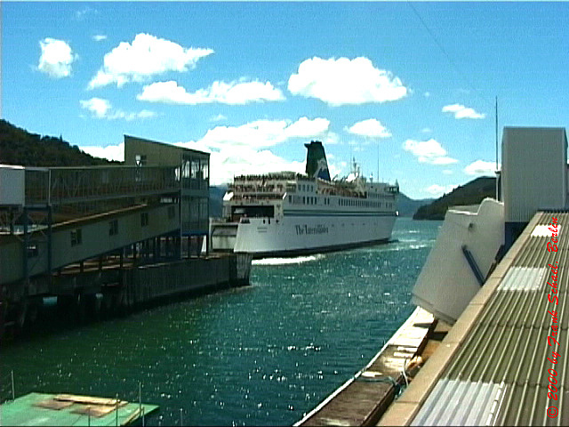 NZL-0195