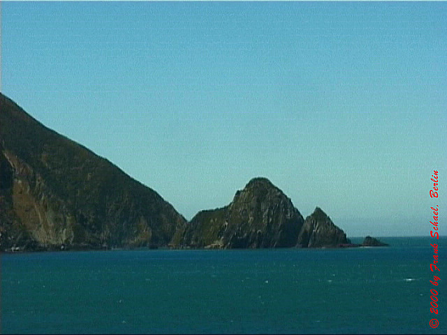 NZL-0198