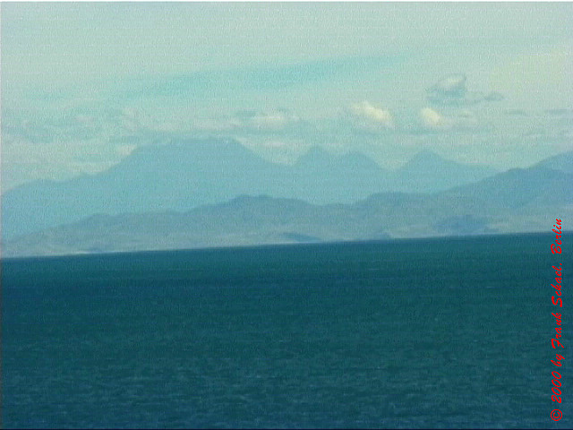 NZL-0199
