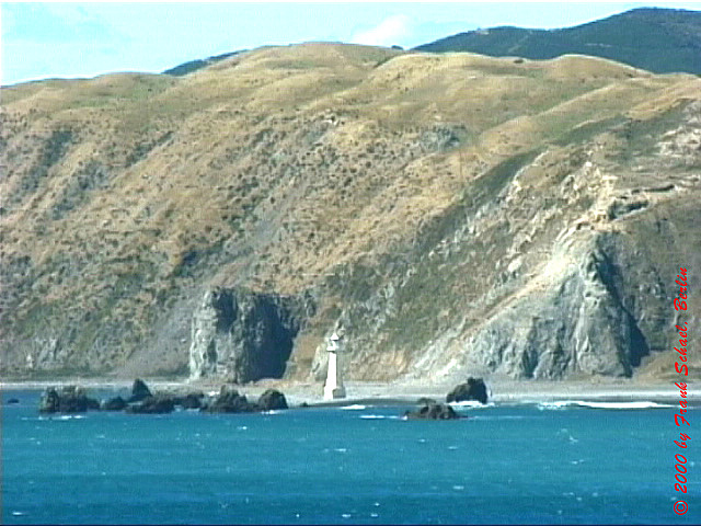 NZL-0201