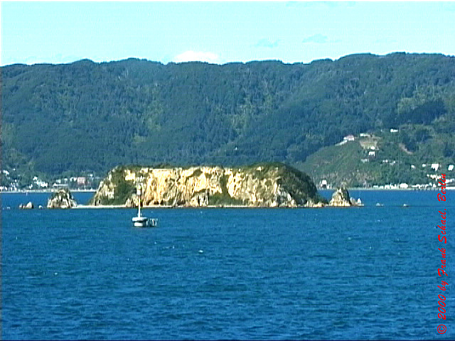 NZL-0204