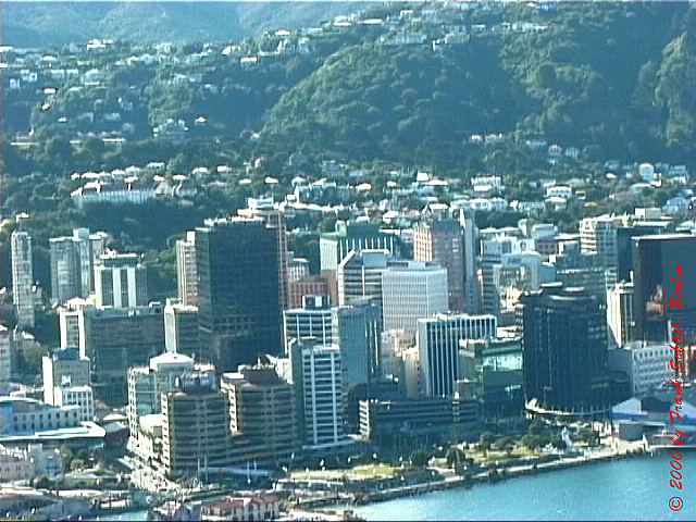 NZL-0209