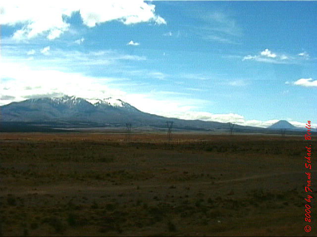 NZL-0215