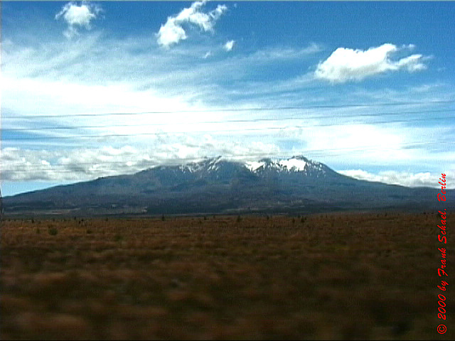NZL-0216