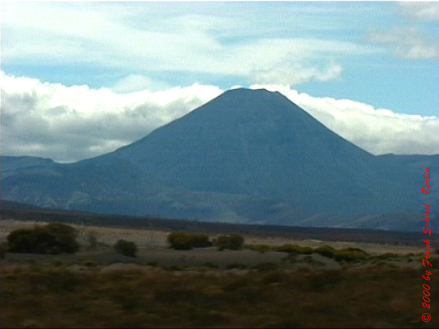 NZL-0218