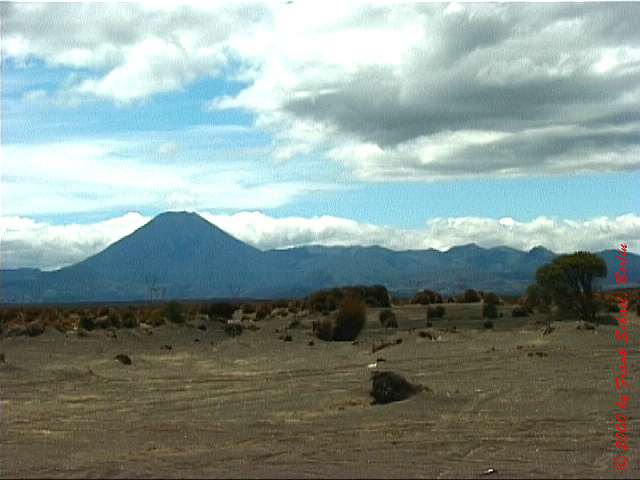 NZL-0220